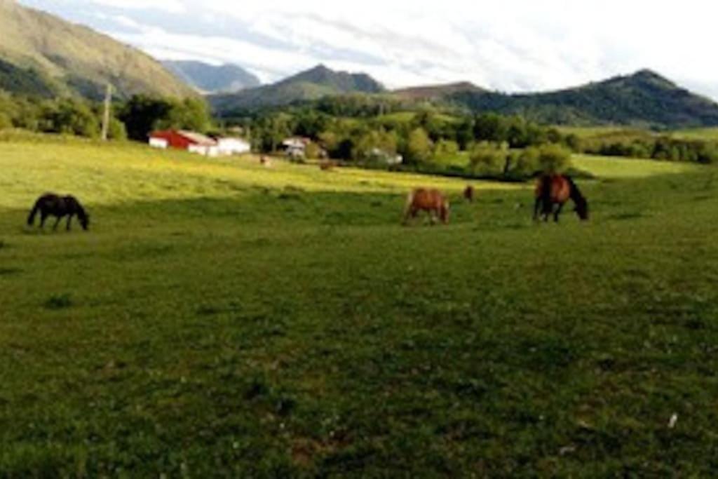 Gite Individuel Au Pays Basque A 1,5Km De St-Jean-Pied-De-Port Saint-Jean-Pied-de-Port Exterior photo
